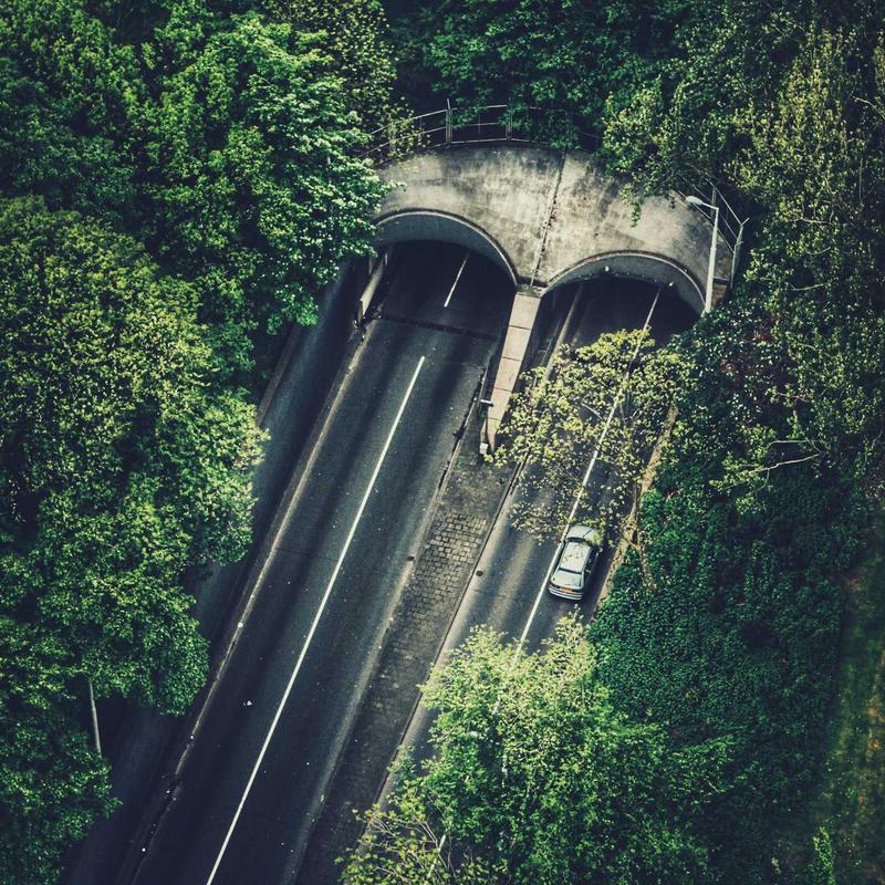 Розовый пион 'Sarah Bernhardt'