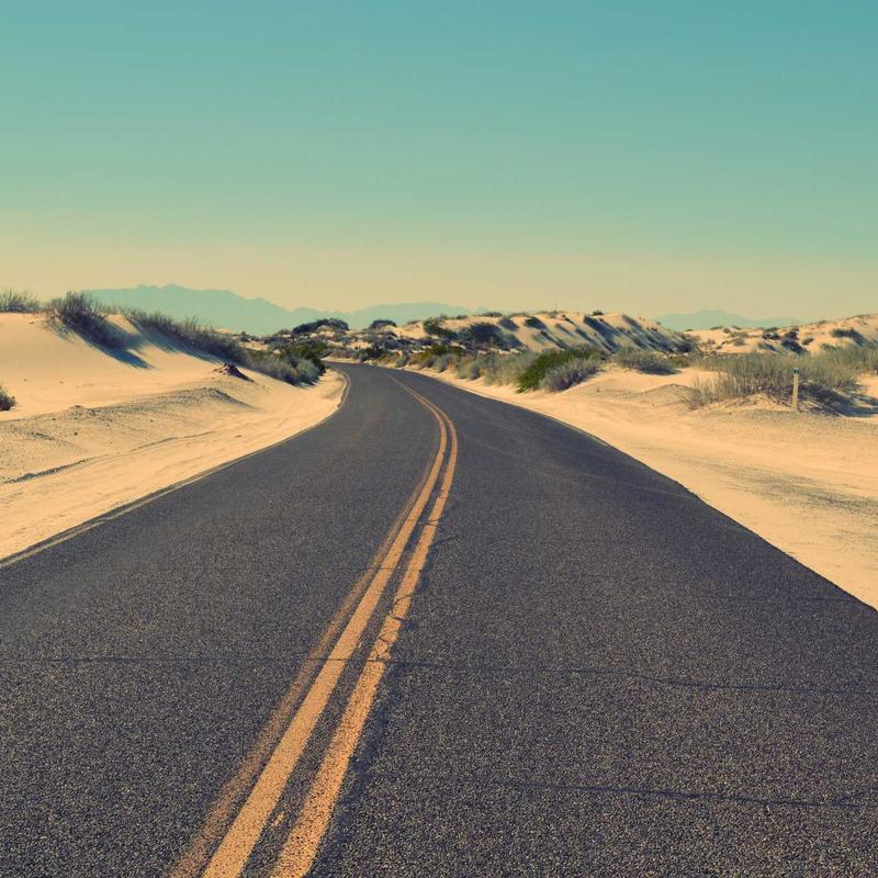 Лаванда 'Hidcote Blue'