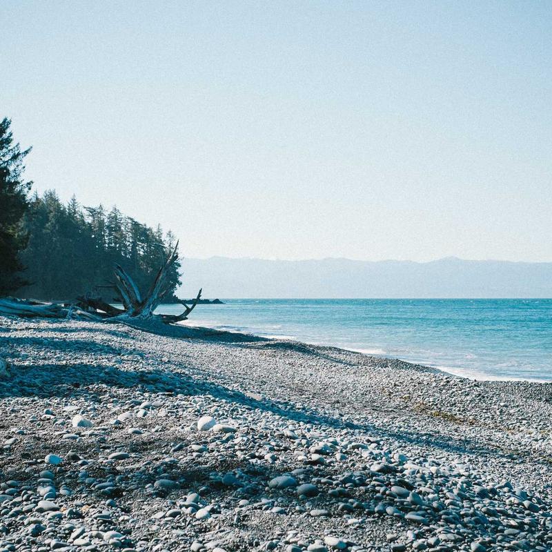 Маттиола 'Iron Lavender'